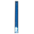 30cm Clear Plastic Ruler – Dual Measurement (CM & Inches) – School Stationery Essential